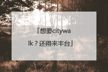 想要citywalk？还得来丰台