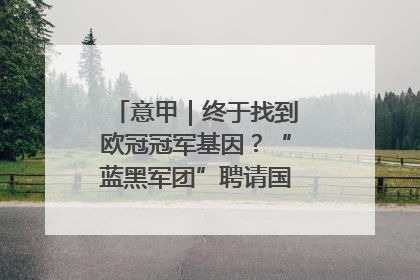 意甲｜终于找到欧冠冠军基因？“蓝黑军团”聘请国米名宿齐沃执教