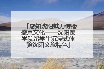 感知沈阳魅力传播盛京文化——沈阳医学院留学生沉浸式体验沈阳文旅特色