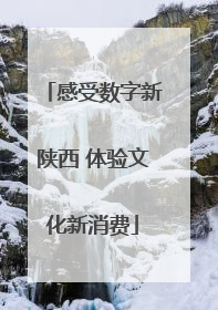 感受数字新陕西 体验文化新消费