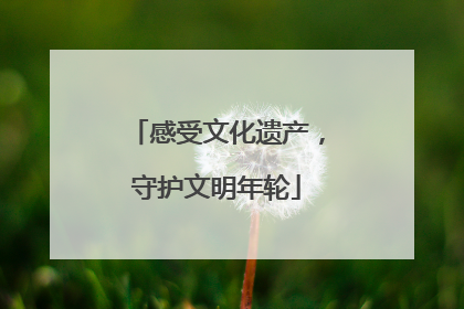 感受文化遗产，守护文明年轮