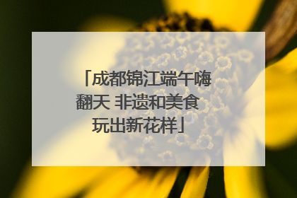 成都锦江端午嗨翻天 非遗和美食玩出新花样