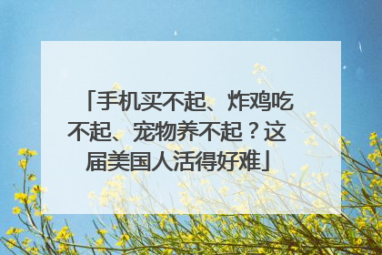 手机买不起、炸鸡吃不起、宠物养不起？这届美国人活得好难