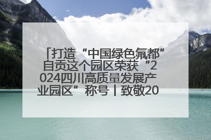 打造“中国绿色氟都” 自贡这个园区荣获“2024四川高质量发展产业园区”称号丨致敬2024经济影响力人物
