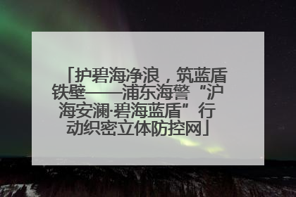 护碧海净浪，筑蓝盾铁壁——浦东海警“沪海安澜·碧海蓝盾”行动织密立体防控网