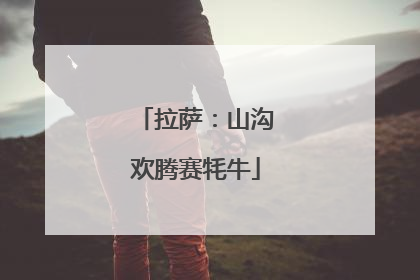 拉萨：山沟欢腾赛牦牛