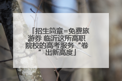 招生简章=免费旅游券 临沂这所高职院校的高考服务“卷”出新高度