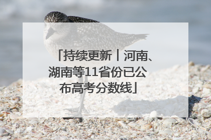 持续更新︱河南、湖南等11省份已公布高考分数线