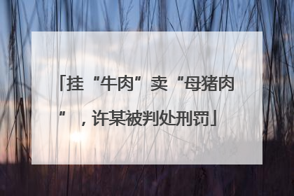 挂“牛肉”卖“母猪肉”，许某被判处刑罚