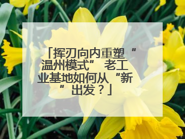 挥刃向内重塑“温州模式” 老工业基地如何从“新”出发？