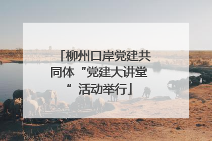 柳州口岸党建共同体“党建大讲堂”活动举行
