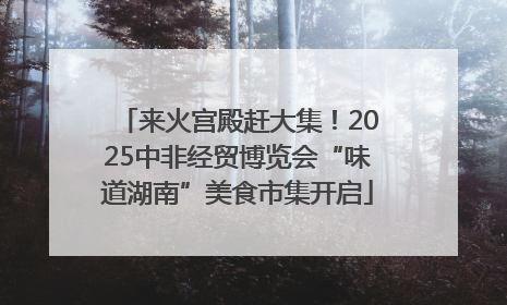 来火宫殿赶大集！2025中非经贸博览会“味道湖南”美食市集开启