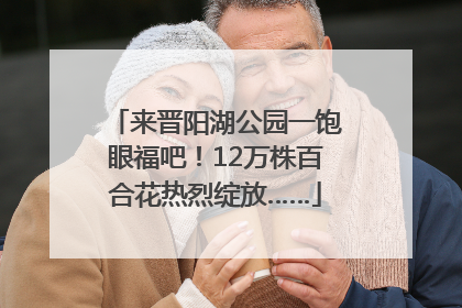 来晋阳湖公园一饱眼福吧！12万株百合花热烈绽放……