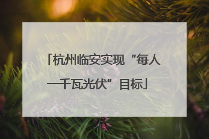 杭州临安实现“每人一千瓦光伏”目标