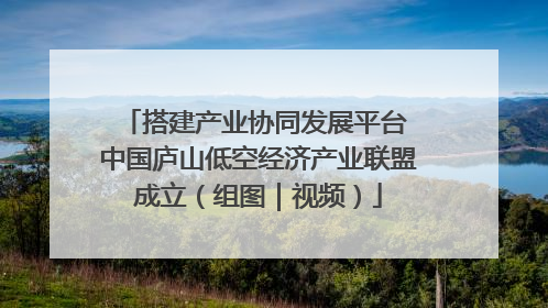 搭建产业协同发展平台 中国庐山低空经济产业联盟成立（组图｜视频）