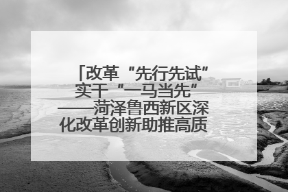 改革“先行先试” 实干“一马当先”——菏泽鲁西新区深化改革创新助推高质量发展纪实