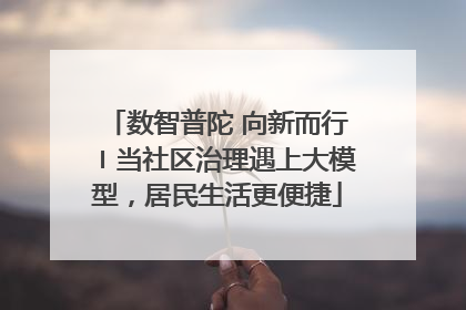 数智普陀 向新而行〡当社区治理遇上大模型，居民生活更便捷