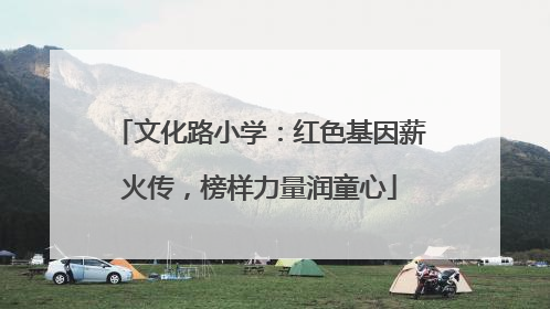 文化路小学：红色基因薪火传，榜样力量润童心