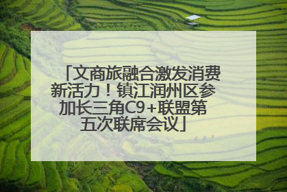文商旅融合激发消费新活力！镇江润州区参加长三角C9+联盟第五次联席会议