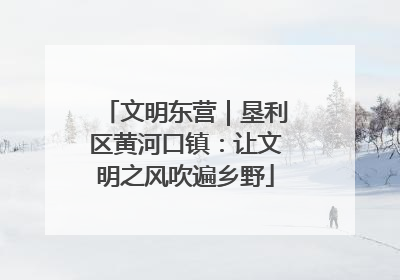 文明东营｜垦利区黄河口镇：让文明之风吹遍乡野