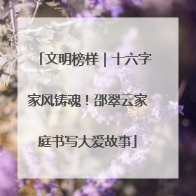 文明榜样｜十六字家风铸魂！邵翠云家庭书写大爱故事
