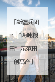 新疆兵团：“两吨粮田”示范田创高产