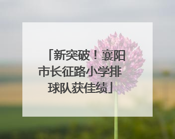 新突破！襄阳市长征路小学排球队获佳绩