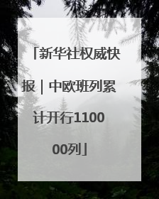 新华社权威快报｜中欧班列累计开行110000列