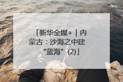 新华全媒+｜内蒙古：沙海之中建“蓝海”(2)