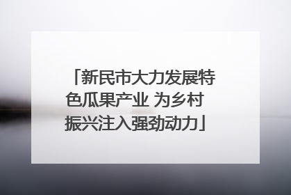 新民市大力发展特色瓜果产业 为乡村振兴注入强劲动力