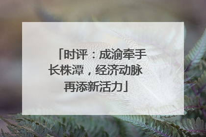 时评：成渝牵手长株潭，经济动脉再添新活力
