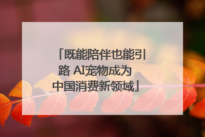 既能陪伴也能引路 AI宠物成为中国消费新领域
