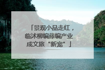 景观小品走红，临沭柳编藤编产业成文旅“新宠”