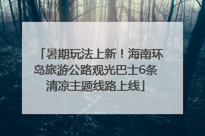 暑期玩法上新！海南环岛旅游公路观光巴士6条清凉主题线路上线