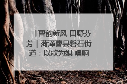 曹韵新风 田野芬芳｜菏泽曹县磐石街道：以歌为媒 唱响乡土“新歌声”