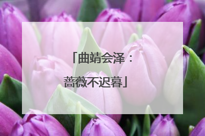 曲靖会泽：蔷薇不迟暮
