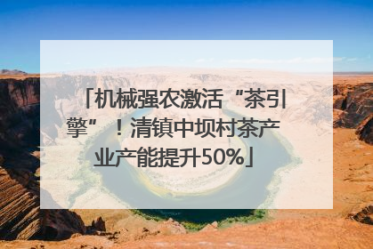 机械强农激活“茶引擎”！清镇中坝村茶产业产能提升50%
