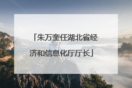 朱万奎任湖北省经济和信息化厅厅长