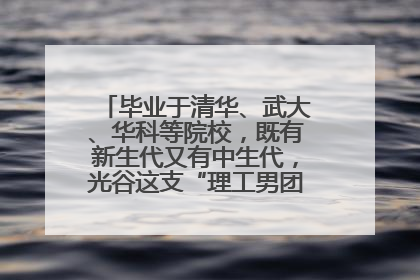 毕业于清华、武大、华科等院校，既有新生代又有中生代，光谷这支“理工男团”为何“出道”？