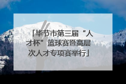 毕节市第三届“人才杯”篮球赛暨高层次人才专项赛举行