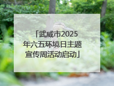 武威市2025年六五环境日主题宣传周活动启动