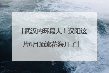 武汉内环最大！汉阳这片6月顶流花海开了