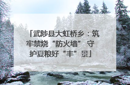 武陟县大虹桥乡：筑牢禁烧“防火墙” 守护夏粮好“丰”景