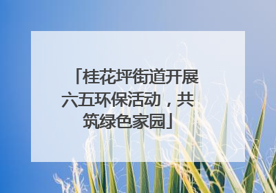 桂花坪街道开展六五环保活动，共筑绿色家园