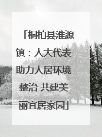 桐柏县淮源镇：人大代表助力人居环境整治 共建美丽宜居家园