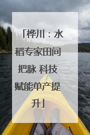 桦川：水稻专家田间把脉 科技赋能单产提升