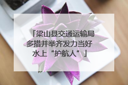 梁山县交通运输局多措并举齐发力当好水上“护航人”