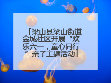 梁山县梁山街道金城社区开展“欢乐六一，童心同行”亲子主题活动