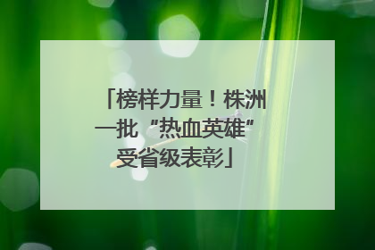 榜样力量！株洲一批“热血英雄”受省级表彰