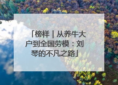 榜样｜从养牛大户到全国劳模：刘琴的不凡之路